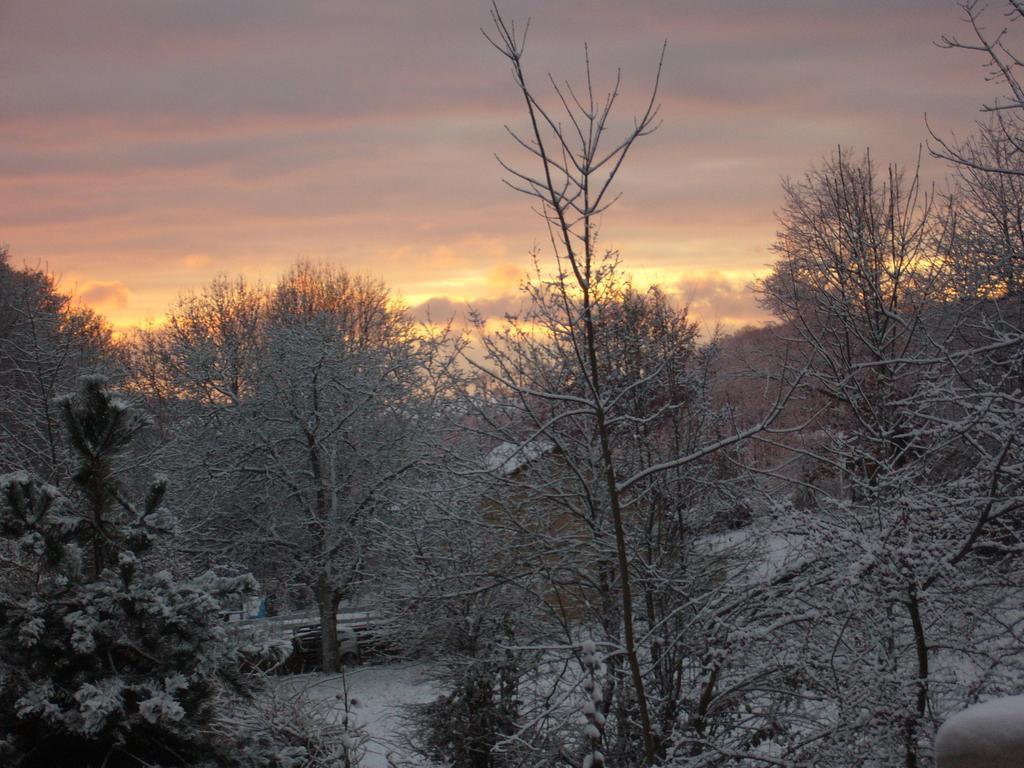 Le Jardin Ombrage